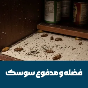 فضولات سوسک در کابینت آشپزخانه