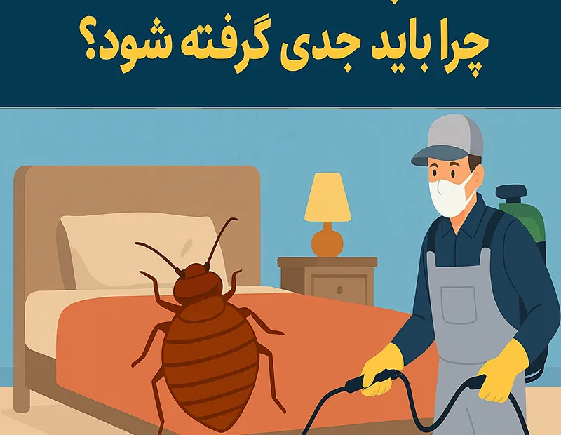 ساس چقدر خطرناک است؟ | سمپاشی ساس تهران