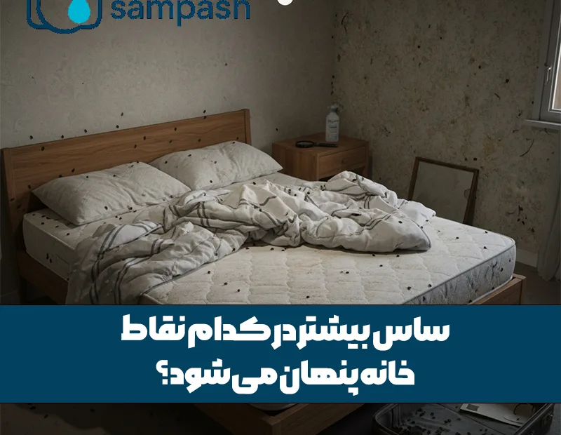 ساس بیشتر در کدام نقاط خانه پنهان می‌شود؟