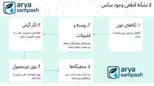 نشانه های وجود ساس در منزل